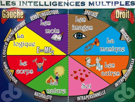 Lire la suite à propos de l’article Les intelligences multiples