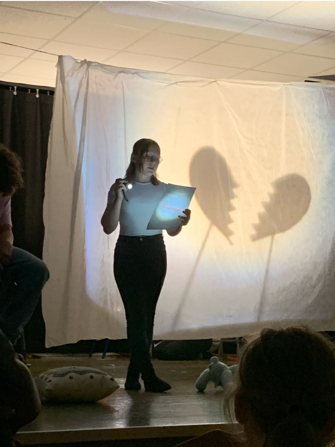 Lire la suite à propos de l’article Lumières sur l’enfance : spectacle des 4emes expressions