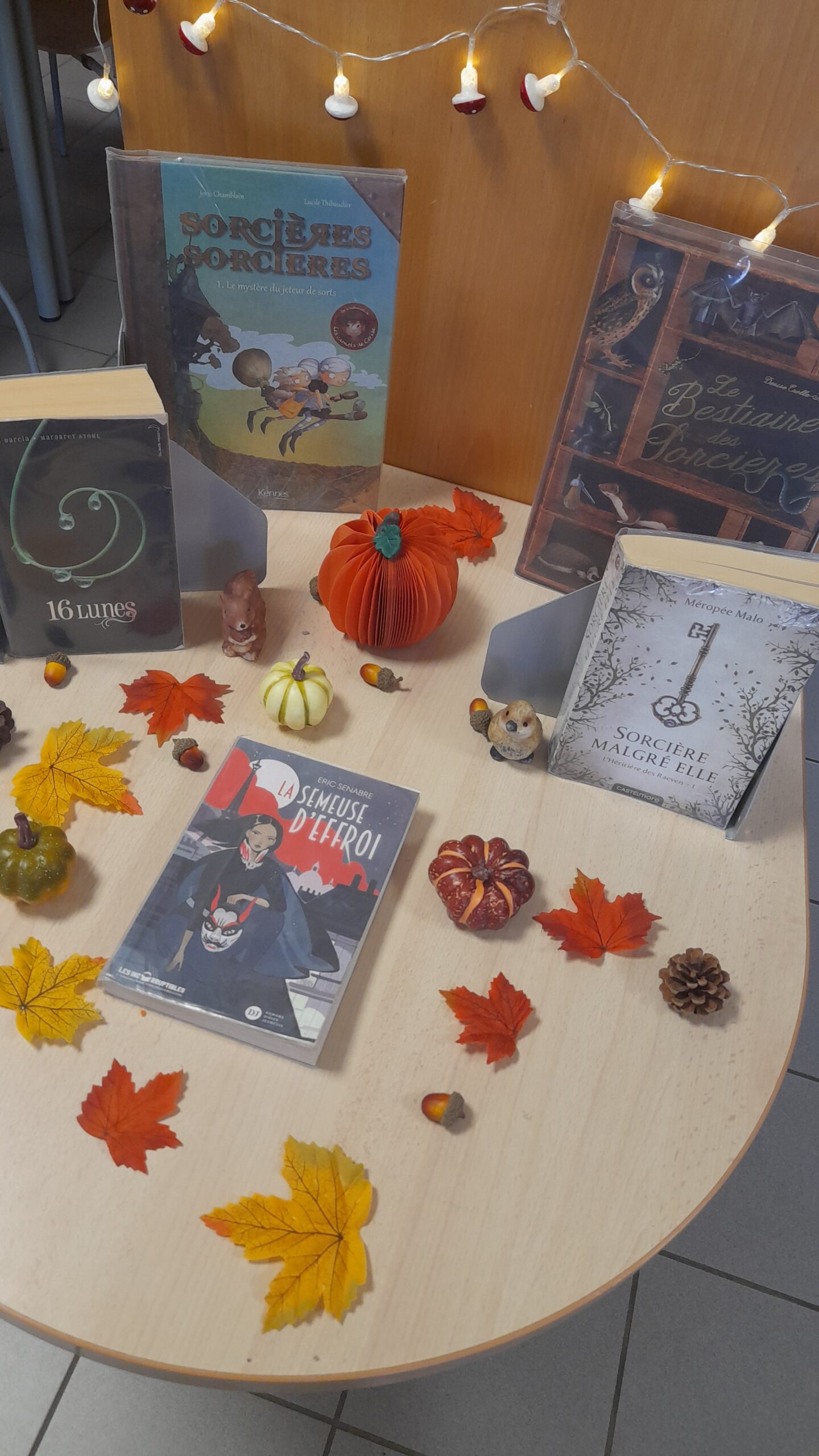 Lire la suite à propos de l’article Le CDI aux couleurs de l’automne